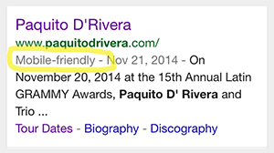 google search result