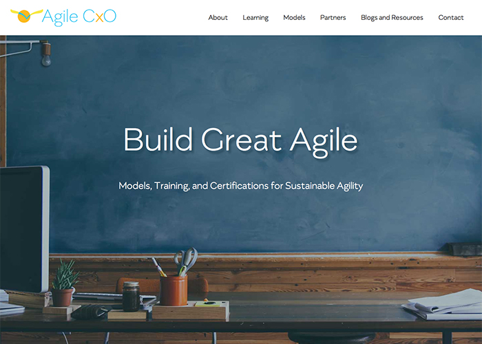 Executive Project Leadership